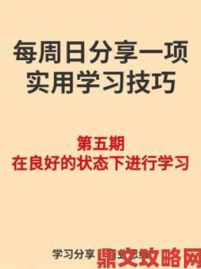 资讯|如何在YN荡校园运动会上脱颖而出：全方位攻略与实用技巧分享