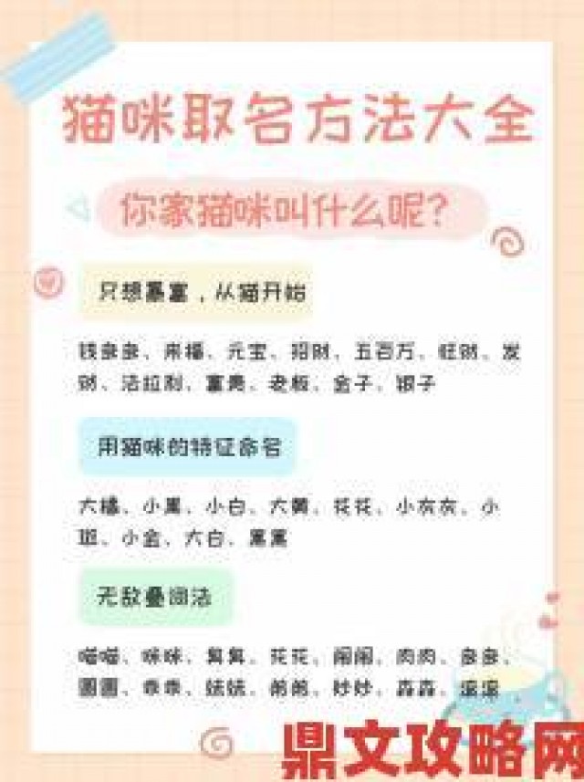 快讯|猫咪最新永久地域网名推荐 让你的猫咪在网络世界中脱颖而出的方法与技巧分享