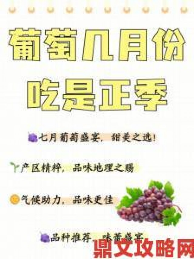 透视|葡萄熟了4话题发酵：年轻人为何痴迷果园打卡文化