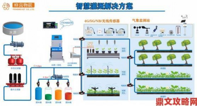 新探|被系统浇灌的日常深度解析从自动化到人性化的进阶指南