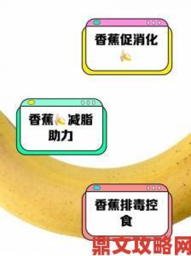 据悉|香蕉频蕉app最新功能更新如何提升内容创作效率