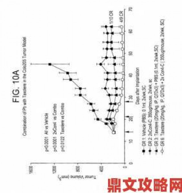 精彩|避开这些坑poein1817常见问题与解决方案全收录