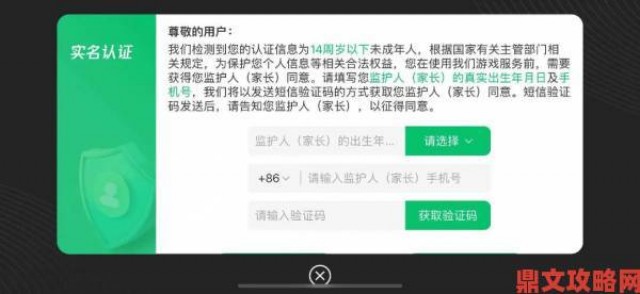 揭秘|实名认证游戏企业审核漏洞10000个有效实名认证游戏实名认证举报路径