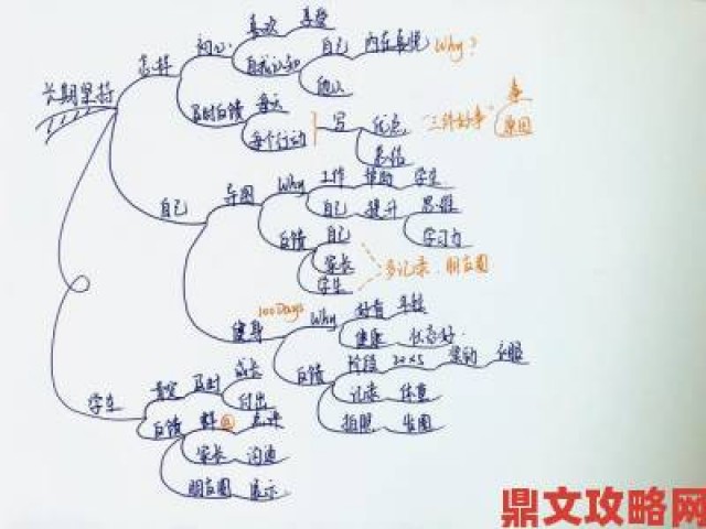 现场|理论片研究指南从入门到精通把握导演创作思维的秘诀