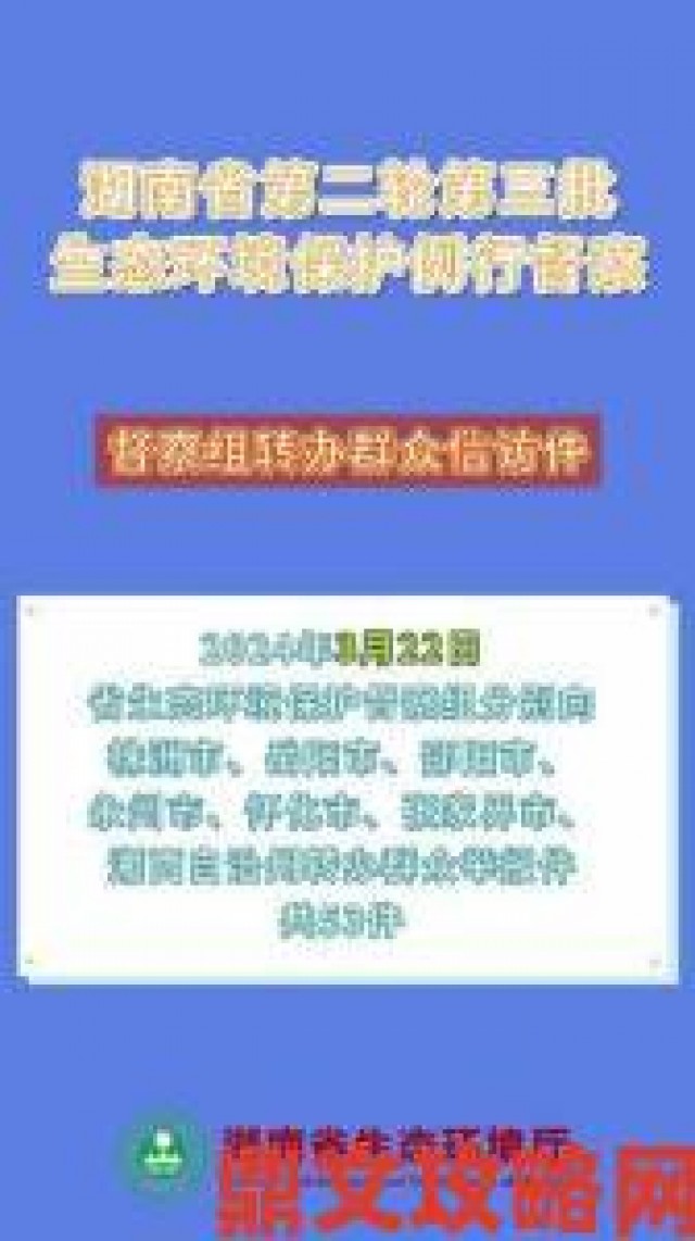 解读|揭秘99视频举报机制用户如何有效维护平台纯净环境