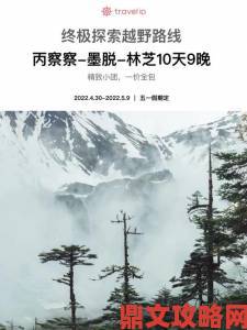 探索9uu官网的独特魅力，您是否也在寻找优质内容和精彩体验的终极平台？