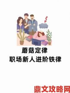 蘑菇理论揭示了职场新人快速成长的隐藏密码？