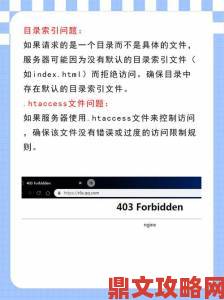 404免费入口正确使用方法全攻略新手入门必看避免常见错误操作