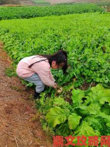 拔萝卜牵出利益链村民联名举报直指村委