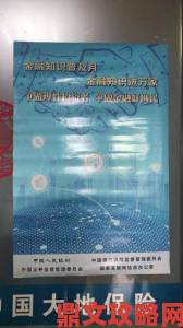 大地资源中文在线观看免费版是否有被官方封禁的风险用户如何应对