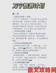 二对一商务旅行2如何平衡效率与预算管理者必读攻略