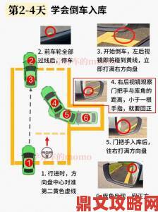 边上课边挨C1V1H的进阶攻略从零基础到精通全解析