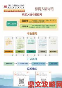 轻松掌握www91网站使用技巧的终极攻略，助你快速提升在线体验与效率