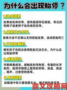 胎停前其实有暗示信号孕早期必须掌握的十大警报信号清单