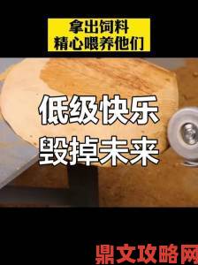 长日光阴乱作一团渺渺畅读模式如何悄然改变现代人碎片化阅读习惯