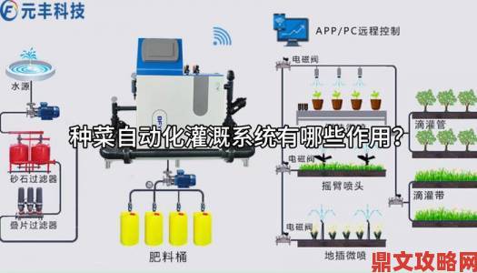 被系统浇灌的日常深度解析从自动化到人性化的进阶指南