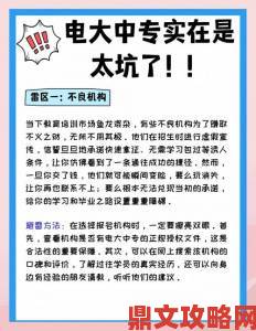 欧美一区二区避坑指南避开版权雷区的三大实用技巧