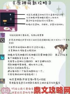 凡仙新手入门：萌新专属攻略与教学