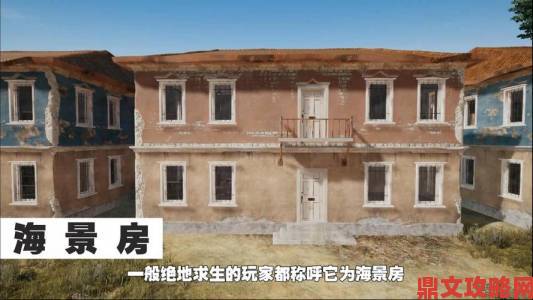 《绝地求生》海景房攻防战术与技巧深度剖析