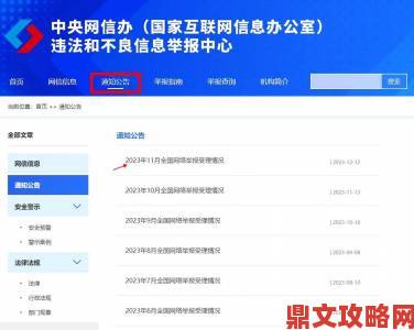 新手必须掌握的举报入口准确位置查找技巧与注意事项