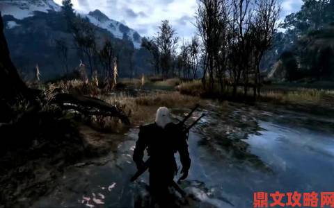 《巫师3》高清材质Mod发布 画面提升显卡负载小