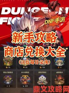 《DNF斗兽场：上衣应选择哪一个进行兑换？》