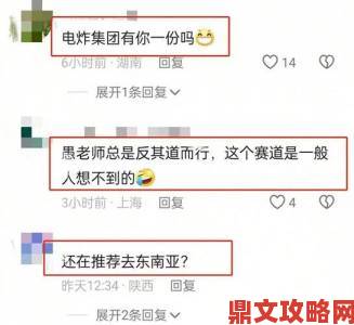 网友热议91丨porny丨国产入口背后隐藏的真相与争议焦点