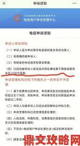 通过95066举报后如何跟进处理进度及获取反馈结果