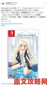 Key社成立15周年纪念之作《Harmonia》拟推出中文版