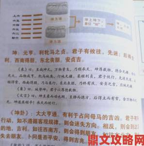 坤卦智慧为何被称作历代帝王将相的生存必修课