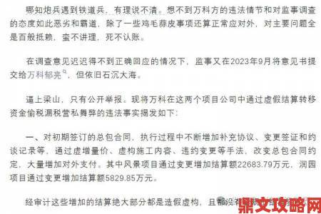 大h事件真相曝光：实名举报者公开关键证据与幕后细节