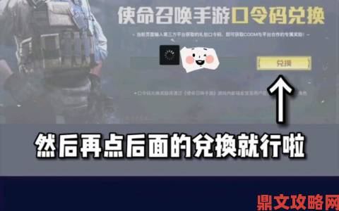 使命召唤手游兑换码输入无效怎么办常见问题全解答