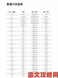 欧洲尺码2XL虚假标注引发退换货纠纷如何有效举报处理