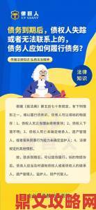 还债的朋友麦子中字深度解读债务重组与信用恢复的进阶攻略