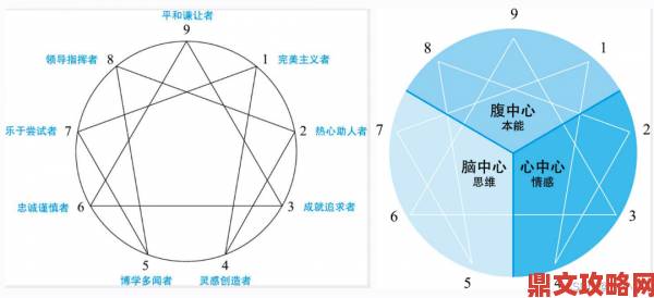 女性花园九型图哪个好终极攻略解析性格与花园的完美匹配技巧