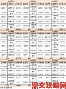 新版金银瓶1996第二级利率分析高手必看揭秘隐藏的收益增长点