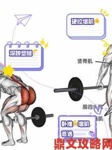 训练篮球肌肉狗部分1完整攻略打造爆发力与协调性双提升