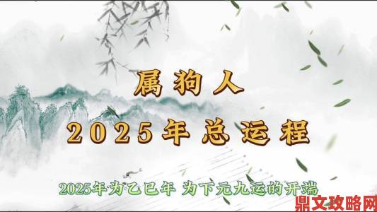 特狗的未来发展会如何行业资深人士给出大胆预测