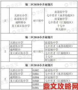 国产影视分级内幕揭秘一区二区三区区别及违规内容举报全指南