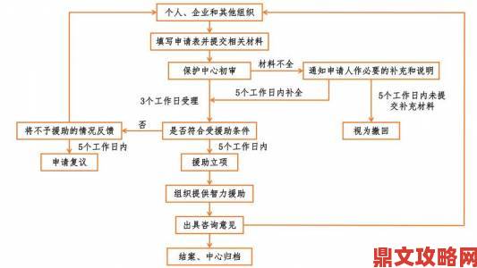 国际免费b站暗藏风险用户必看的举报流程与维权技巧