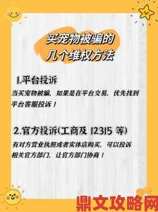 猫咪官网用户维权必读举报功能隐藏的三个关键技巧