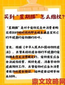 猫咪官网用户维权必读举报功能隐藏的三个关键技巧