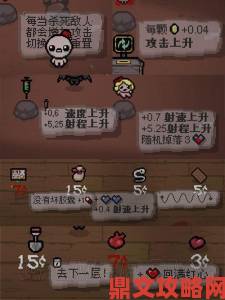 《以撒的结合：胎衣》内置道具图鉴MOD使用指南