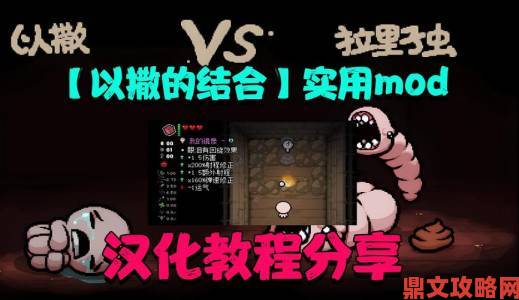 《以撒的结合：胎衣》内置道具图鉴MOD使用指南