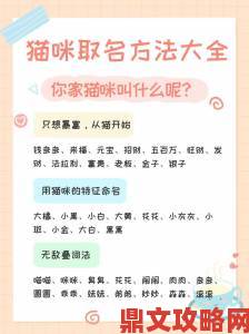 猫咪最新永久地域网名推荐 让你的猫咪在网络世界中脱颖而出的方法与技巧分享