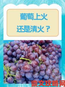 葡萄熟了4引发网友热议：今年葡萄价格为何大起大落