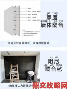 成人家庭影院隔音改造全解析网友吵翻天的材料到底选哪款