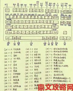 91免费版用户必读从零到精通的十大实用操作指南