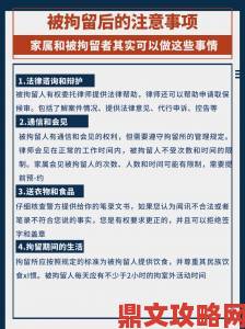 律师解读使用91免费看片可能面临的法律风险