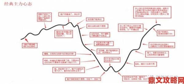 新版金银瓶1996第二级利率分析深度拆解手把手教你制定最优策略